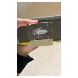 3D Dolphin Scene Paperweight