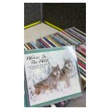 Large CD Collection with Pop and Jazz Music