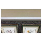 Set of 2 Framed Botanical Lily Prints