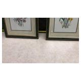 Set of 2 Framed Botanical Lily Prints