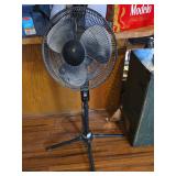 Comfort Zone Pedestal Fan
