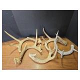 Natural Whitetail Deer Antlers