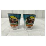 Zambezi Zinger Worlds of Fun Shot Glasses Set of 2