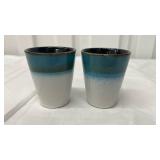 Zambezi Zinger Worlds of Fun Shot Glasses Set of 2