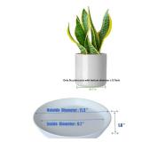 Plant Saucer 10 Inch, 1 Pack Large Plant Saucers Glazed Ceramic Tray for Flower Pot, Classic Sturdy Planter Water Catcher Tray for Plant Base,White