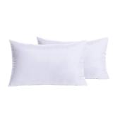 MIULEE Set of 2 Throw Pillow Inserts Premium Pillow Stuffer Rectangle Form for Decorative Cushion Bed Couch Sofa 12x20 Inch