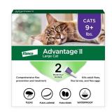 Advantage II Large Cat Vet-Recommended Flea Treatment & Prevention | Cats Over 9 lbs. | 2-Month Supply