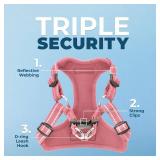 Best Pet Supplies Voyager Adjustable Step-in Flex Breathable Mesh Dog Harness for Small Medium Large Dogs (Pink), S