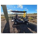 SDLGC80 4-Passenger Golf Cart with Premium Features