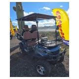 SDLGC80 4-Passenger Golf Cart with Premium Features