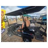 SDLGC80 4-Passenger Golf Cart with Premium Features