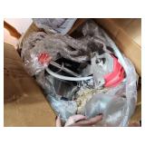 dental phantom head model