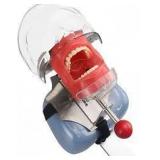 dental phantom head model