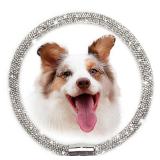 Suavifurri Diamond Dog Collar Bling Full Rhinestone Sparkly Magnetic Closure Wedding Pet Necklace for Small Dogs 12 inch