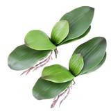 Fnize Orchid Leaves Artificial Phalaenopsis Stems Leaf Faux Cymbidium Flower Foliage Green Real Touch Latex Bulk 8 Inches 1pcs