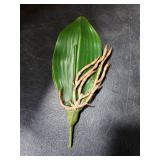 Fnize Orchid Leaves Artificial Phalaenopsis Stems Leaf Faux Cymbidium Flower Foliage Green Real Touch Latex Bulk 8 Inches 1pcs