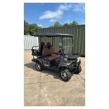 SDLGC80 - 2025 SDLANCH 4 Person Luxury Golf Cart - Unused