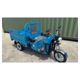 IRET13 - IRanch Electric Cargo Tricycle - Unused