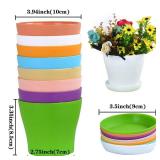 Tergy 50 Pack 4 Inch Plant Pots Bulk Small Plastic Planters Pots with Drainage Holes Flower Pot for Succulent, Cactus, Herb, African Violet (50pcs-Multicolor, 4Inches)