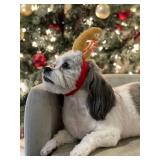 ComfyCamper Reindeer Antler Dog Halloween Costume - Headband Cosplay Christmas Small Medium Large X-Large Puppy Cat, S