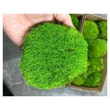 Prefleur Preserved Pole Moss Pillow Bun Cushion Natural Green Decorative Real Natural Green DIY Kit Terrariums Gardening Art Wall Decor Florist Decor Easter Table Wedding(1.5 sq.ft, Green-B)