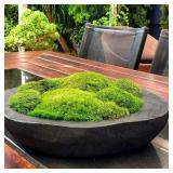 Prefleur Preserved Pole Moss Pillow Bun Cushion Natural Green Decorative Real Natural Green DIY Kit Terrariums Gardening Art Wall Decor Florist Decor Easter Table Wedding(1.5 sq.ft, Green-B)