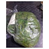 Prefleur Preserved Pole Moss Pillow Bun Cushion Natural Green Decorative Real Natural Green DIY Kit Terrariums Gardening Art Wall Decor Florist Decor Easter Table Wedding(1.5 sq.ft, Green-B)