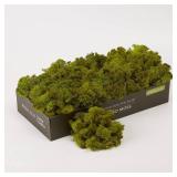 prefleur Preserved Reindeer Craft Moss Natural Green DIY Kit Gardening Art Wall Florist Easter Table Decor Wedding Decor (0.85lb) (Green-08)