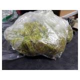 prefleur Preserved Reindeer Craft Moss Natural Green DIY Kit Gardening Art Wall Florist Easter Table Decor Wedding Decor (0.85lb) (Green-08)