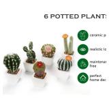 Oairse Mini Artificial Cactus Plants in Ceramic Pots 6 Pcs Potted Faux Succulents in Pots Fake Potted Plants Cactus Decor Small Artificial Plant for Home Decor Indoor Office Desk Tabletop Shelf