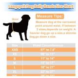 Langsprit Male Belly Bands for Dogs (Pack of 3) - High Absorbing Dog Wraps Male Washable - Reusable Dog Diapers (Fox,Cat,Polar Bear, Small)