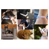 Serijoars Small Dog Collar with Rhinestone Crystal Diamond Colorful Bling Girl Puppy Cat Collars (XS, Hot Pink)