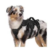 rabbitgoo Escape Proof Dog Harness, Soft Padded Full Body Pet Harness, Reflective Adjustable No Pull Vest with Lift Handle and Leash Clip for Large Dogs Walking Hiking Training, M, Black