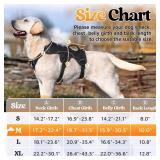 rabbitgoo Escape Proof Dog Harness, Soft Padded Full Body Pet Harness, Reflective Adjustable No Pull Vest with Lift Handle and Leash Clip for Large Dogs Walking Hiking Training, M, Black