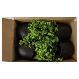 Der Rose Fake Plants 4 Packs Artificial Plants Small Faux Plants Black Bathroom Accessories for Halloween Bathroom Home Kitchen Coffee Table Office Desk Decor Indoor