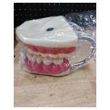 Evotech Dental Teeth Care Model, W/Giant Toothbrush, Kids Dental Care Teaching Demonstration Model, Speech Therapy Teaching Tool, Adult Standard Typodont Demonstration Teeth Model