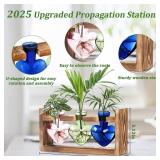 Lifecapido Heart Shaped Propagation Stations, Plant Terrarium with Wooden Stand, Plant Propagation Station for Hydroponics Office Garden Home Decor, Gifts for Women Plant Lover (3 Vases, Multicolor)