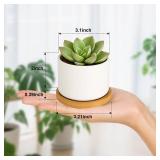 ZOUTOG Succulent Pots 3.1 Inch,Succulent Planters 12 Pack,Small Pots for Plants with Drainage and Tray,White Ceramic Flower Planters for Indoor Plants,Home,Office,Desk