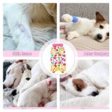 Coppthinktu Recovery Suit for Dogs After Surgery, Dog Onesie Surgery Recovery Suit for Female Spay, Soft Male Surgical Pajamas Bodysuits for Small Medium Puppy to Anti Licking Dog Cone Alternative