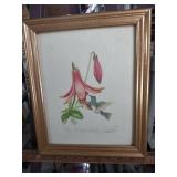 Nine and a half by 12 Limited Edition Hummingbird and Lily Print in Gold Frame