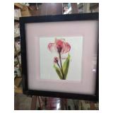 13 and a half by 13 and 1/2 Framed Pink Tulip Botanical Print
