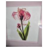 13 and a half by 13 and 1/2 Framed Pink Tulip Botanical Print
