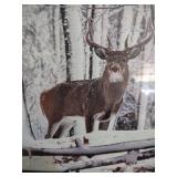 12 and a half by 10 1/2 Vintage Winter Deer Photograph in Rustic Wood Frame