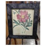 10 half by 13 Vintage Botanical Pink Peony Print in Black Frame