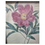 10 half by 13 Vintage Botanical Pink Peony Print in Black Frame