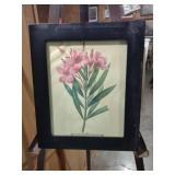 10 and a half by 13 Vintage Botanical Print in Black Frame