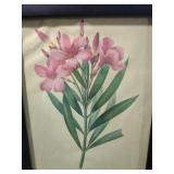 10 and a half by 13 Vintage Botanical Print in Black Frame