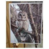 16x20 Signed Wildlife Photography Print - Barred Owl in Winter