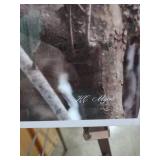 16x20 Signed Wildlife Photography Print - Barred Owl in Winter