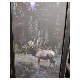 10x25 Large Framed Mountain Elk Print